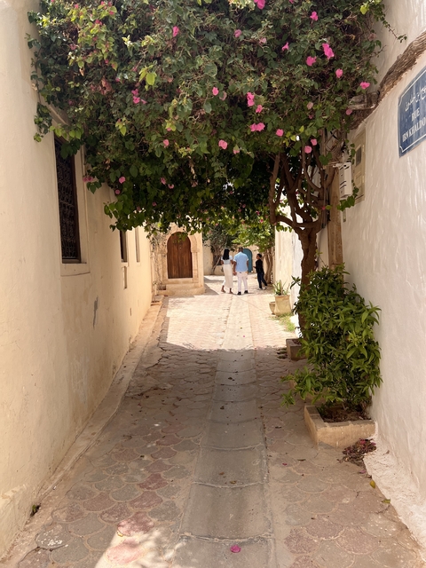 A charming narrow alleyway with people walking under a vine-covered arch.