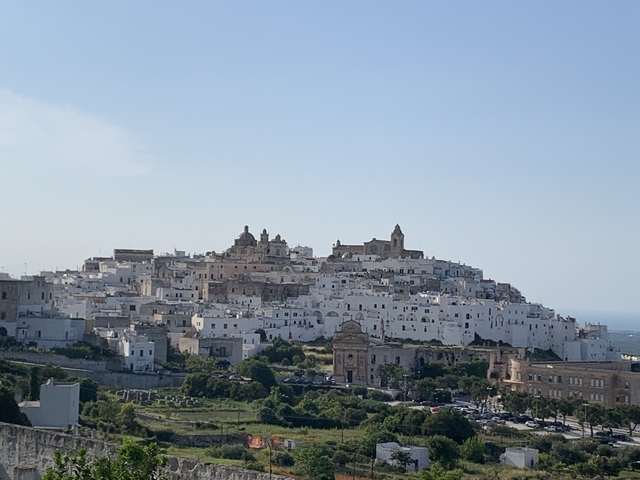       Panoramic view of a whitewashed town on a hill.
  