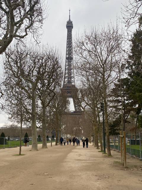 View of Eiffel Tower seen through bare trees.