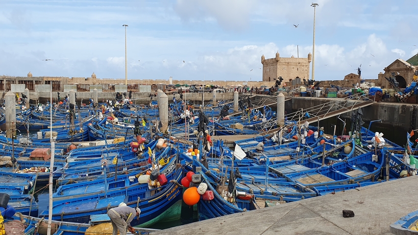      Busy harbor scene with numerous blue fishing boats.
  