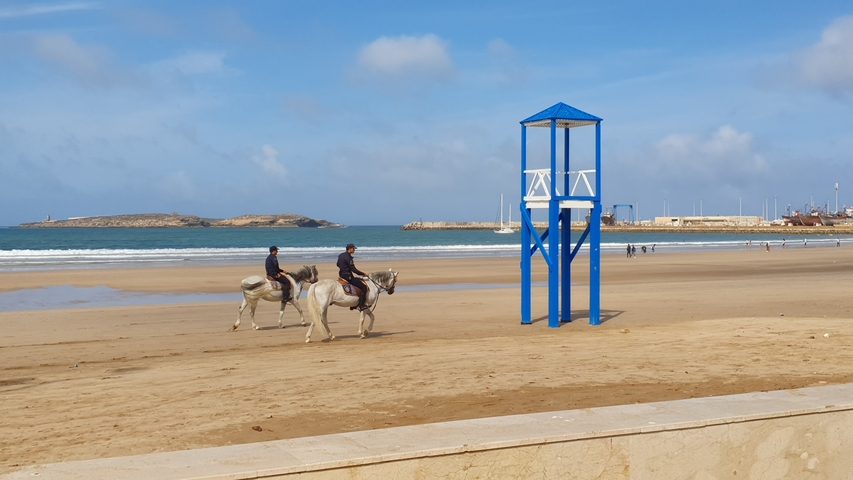       Beach scene with horse riders and a lifeguard tower.
  
