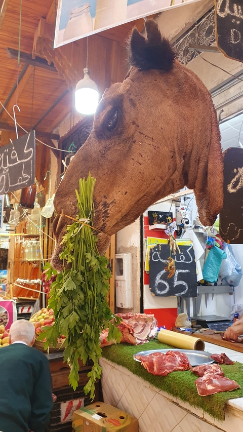       Market stall with a camel head holding green herbs.
  