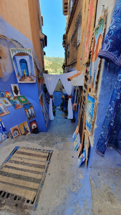       Blue-painted alleyway with artworks and decorative plants.
  