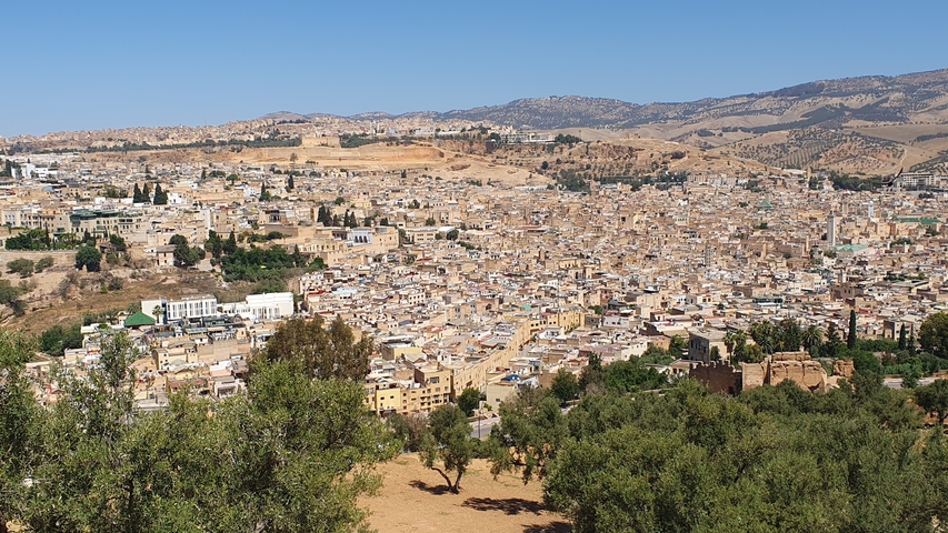       Overlooking view of a dense city under clear blue skies.
  