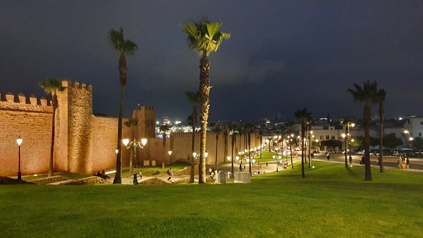       Illuminated city wall at night with palm trees
  