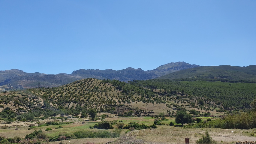       Beautiful mountainous landscape with clear sky.
  