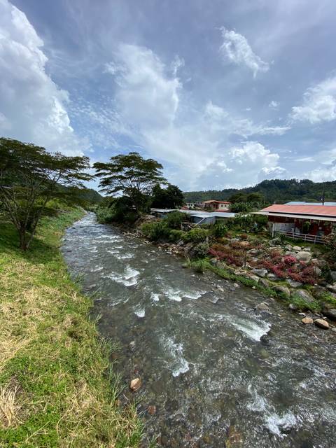       River flowing near trees and buildings.
  