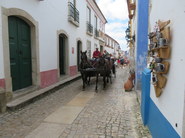 Street view with a horse-drawn carriage.