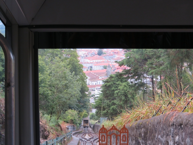 View through a tram window towards a city with trees.