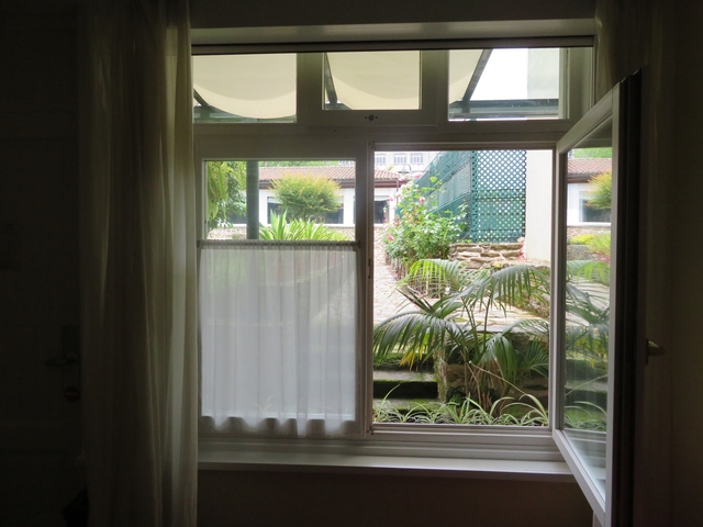 View through a window with a garden outside.