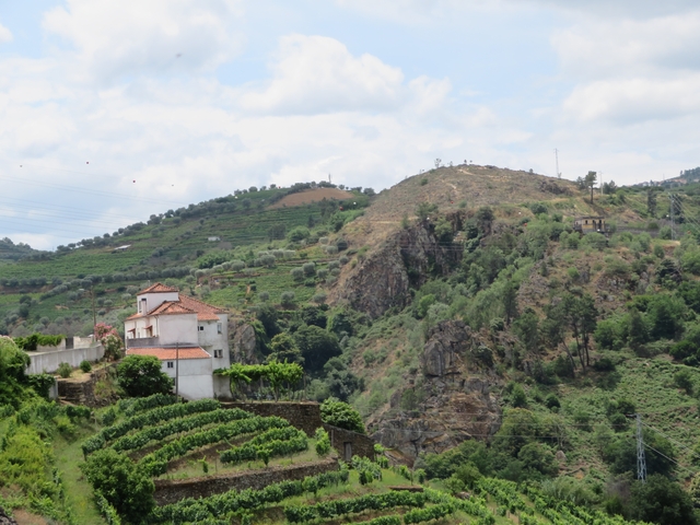       Scenic view of a hillside with a house.
  