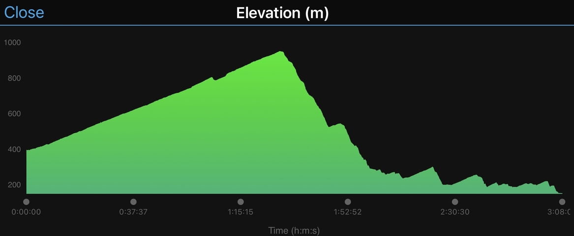       Graph showing elevation over time.
  
