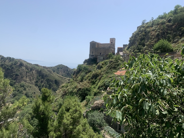       Medieval castle on a hill surrounded by lush greenery.
  