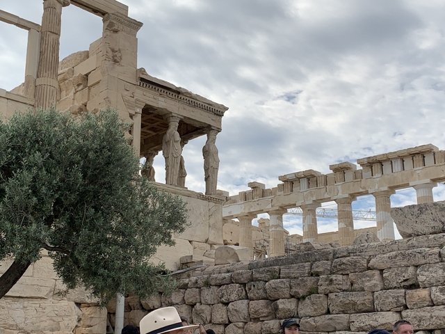 Acropolis structure with olive tree in the foreground.