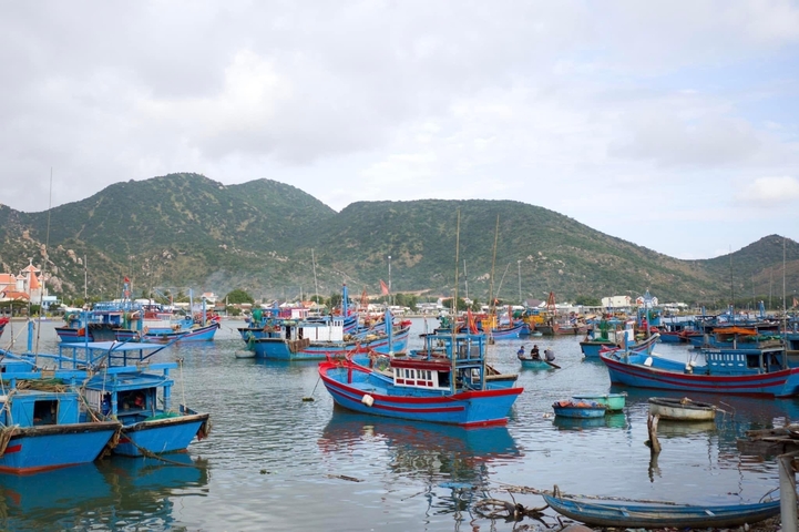 Colorful fishing boats in a harbor with mountains in the background.