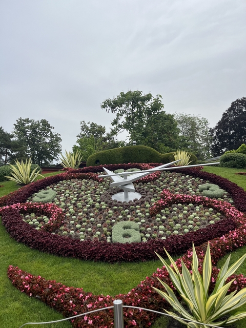       A beautifully arranged flower clock in a garden.
  