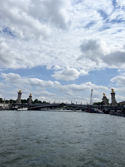       A bridge adorned with gold statues spanning across a river in Paris.
  