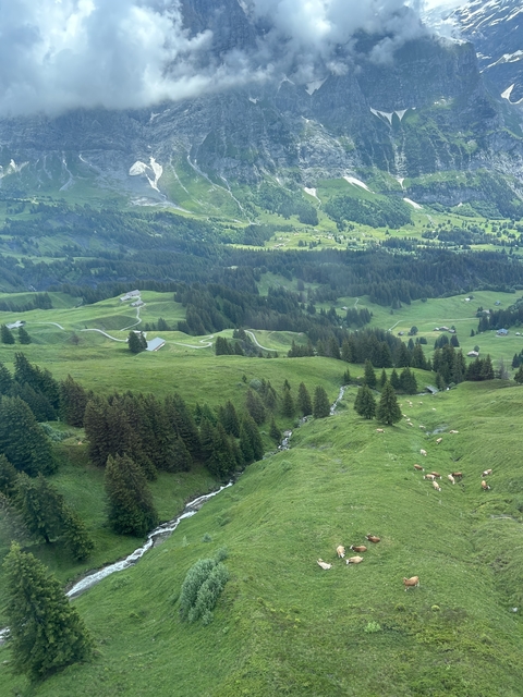       Aerial view of a green mountainous landscape with scattered houses.
  
