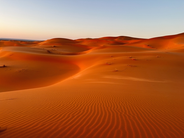 Golden dunes of a desert landscape