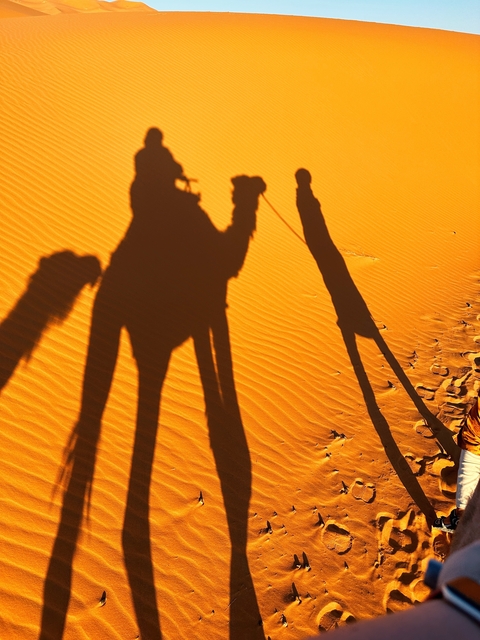       Shadow of a person on a camel in a desert
  