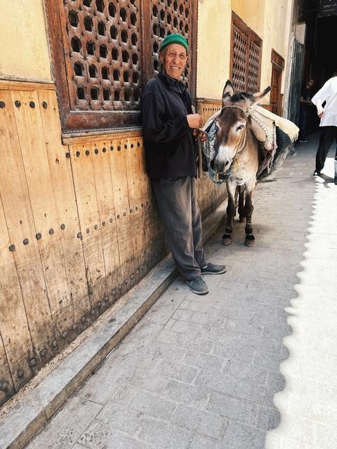       Person standing with a donkey in a traditional street
  