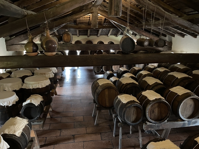 Barrels aging in a traditional cellar