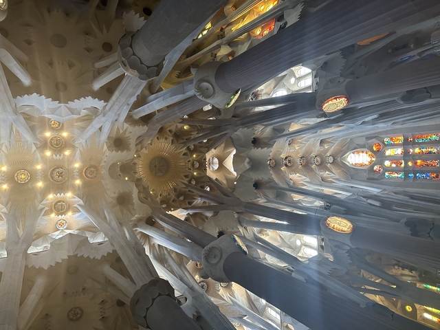 Intricate ceiling of a famous basilica with stained glass and ornate designs.