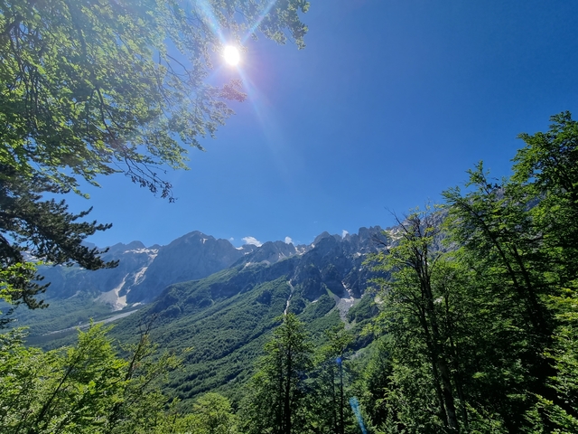       Mountain range viewed from a forested area with blue skies.
  
