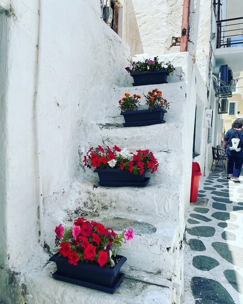       Charming alley with potted flowers along whitewashed walls and a person walking.
  