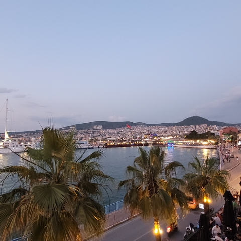       View of a coastal city with a harbor and palm trees.
  