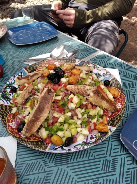 A colorful salad with grilled fish on a patterned plate.