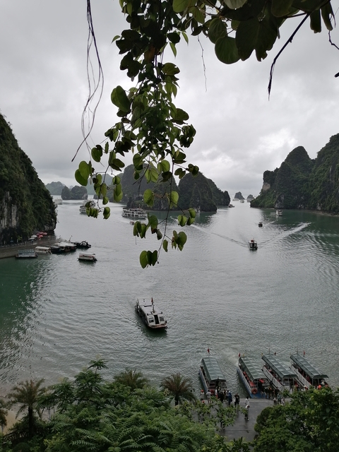       Scenic view of a bay with limestone islets and boats.
  