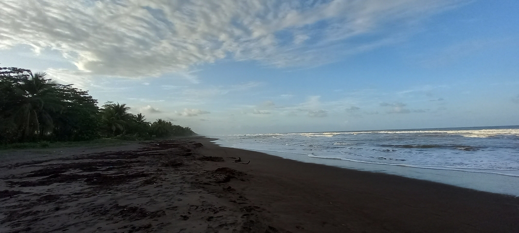 Scenic view of a beach with waves and cloudy sky.