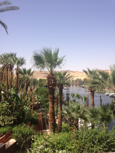       Scenic view of a river with lush greenery and mountains.
  