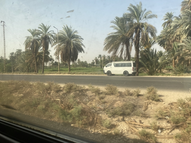 A minivan on a road lined with palm trees.