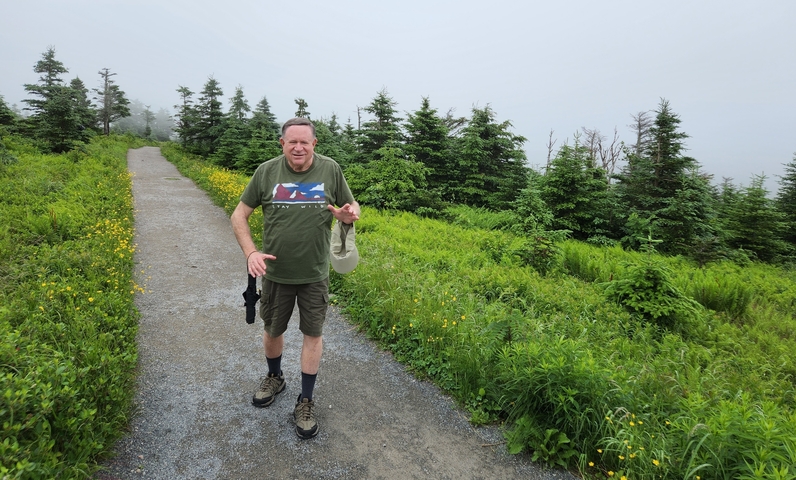       Person walking on a foggy pathway through green nature.
  
