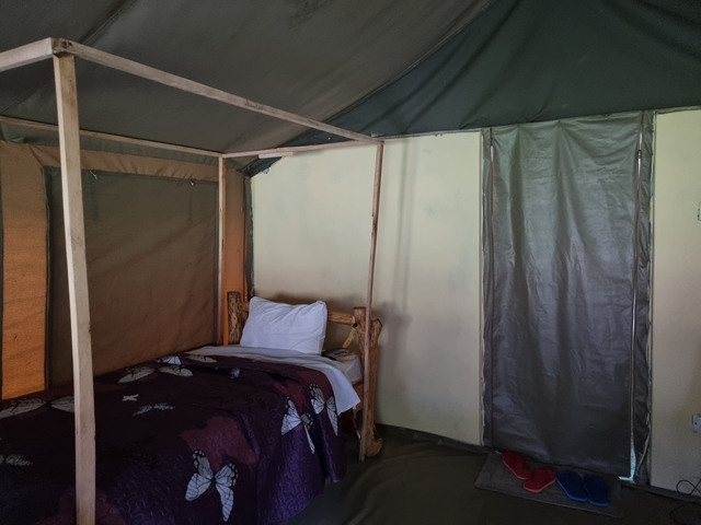 Interior of a safari tent with bed and curtain.