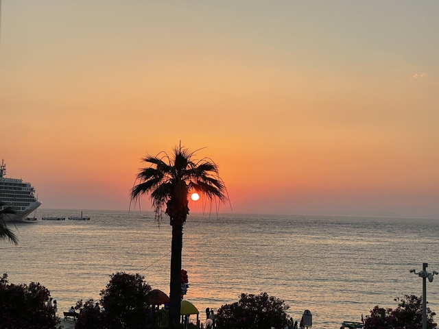       Sunset over the sea with a palm tree silhouette.
  