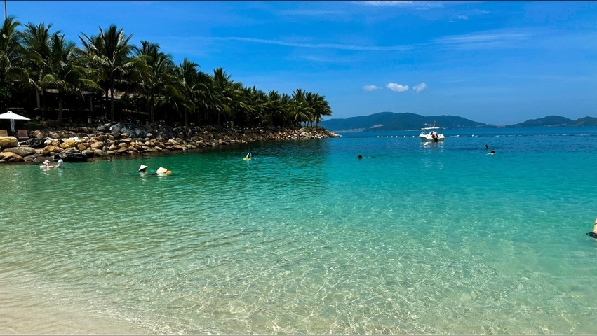       Turquoise water beach with palm trees and people swimming.
  
