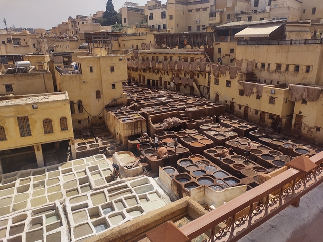 The Fes tannery with dyeing vats.