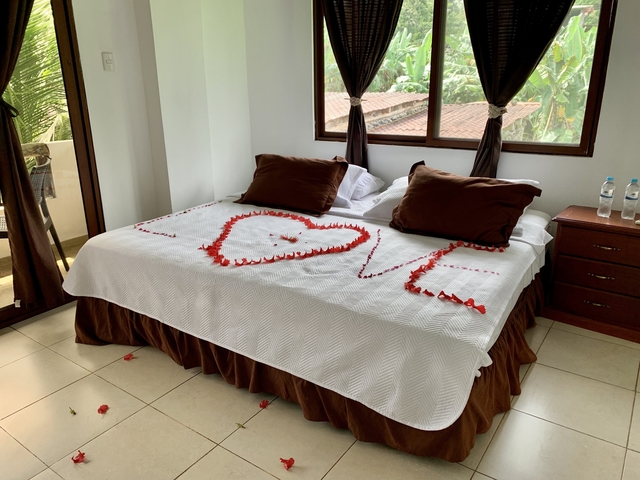       Bed decorated with rose petals spelling 'LOVE'.
  