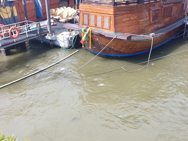 Rustic wooden boat docked on a murky river.