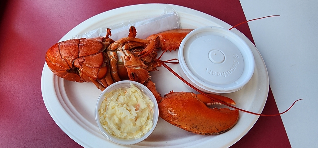       Cooked lobster served on a plate with a cup of butter.
  