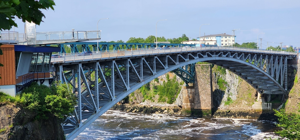       Arched bridge over a river with trees and buildings nearby.
  