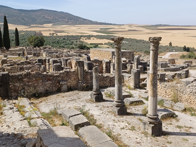 Ruins of an ancient site with stone columns under a clear sky.