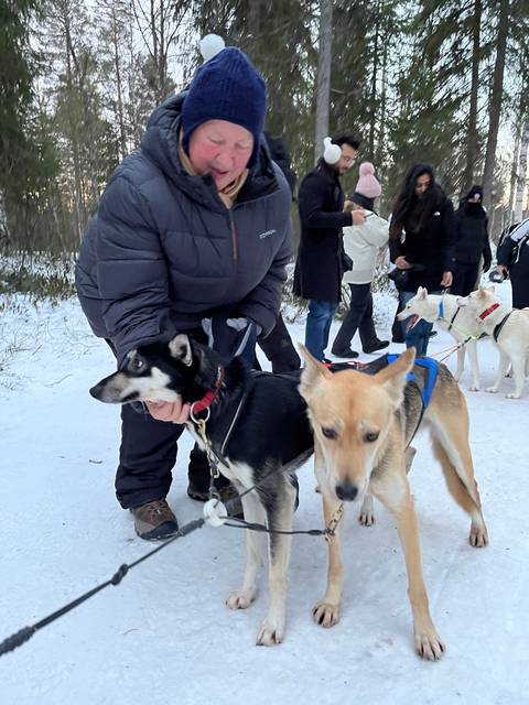 Person with sled dogs and snowy forest.