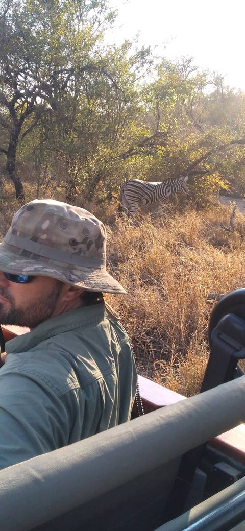 Person in a vehicle on a safari with a zebra in the background.
