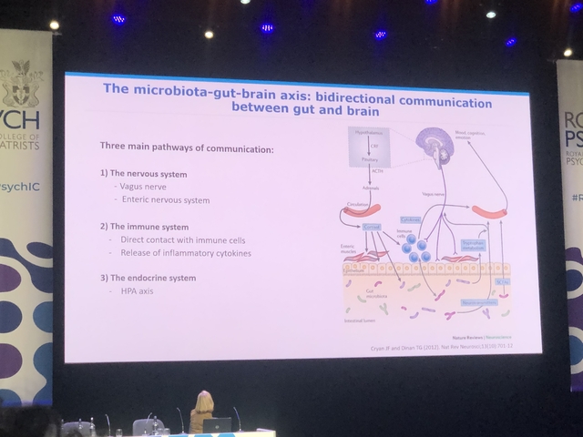 Scientific presentation slide about the gut-brain axis.