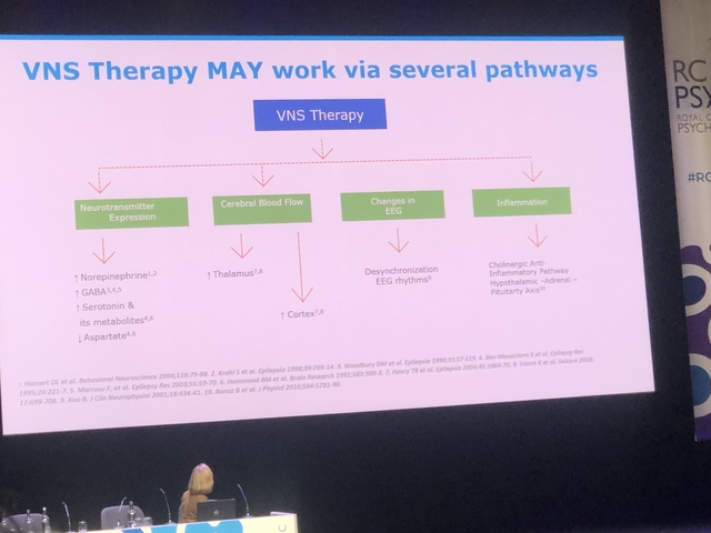 Slide presentation on VNS therapy and neurotransmitter expression.