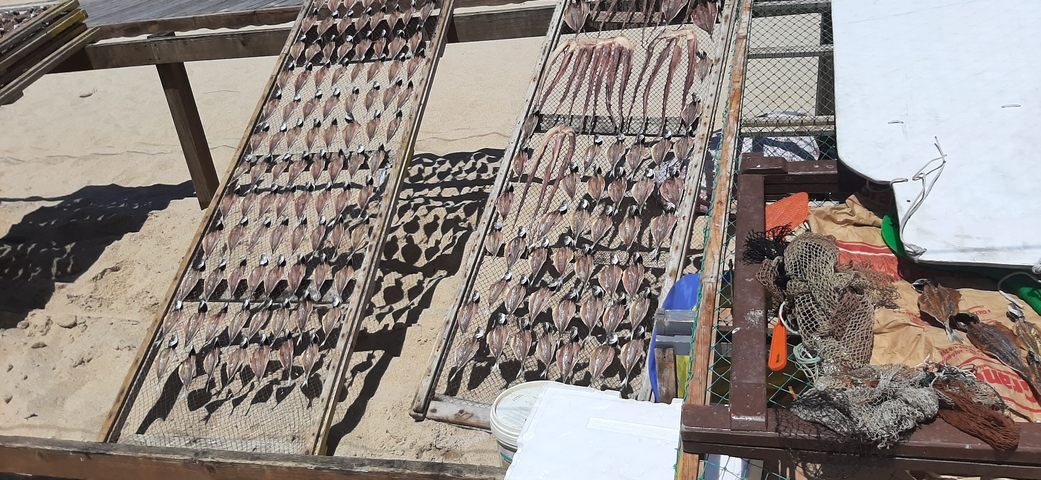 Racks of dried fish on a beach, with fishing nets visible.